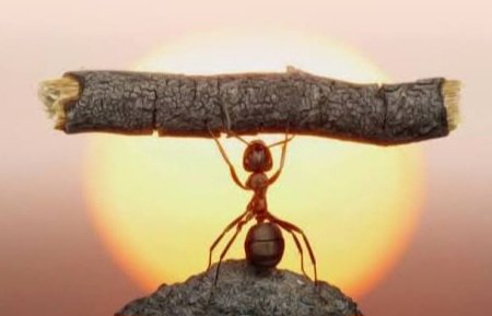 "En güzel intikam, başarıdır. Seni sevmeyen herkesi üzer."
Jacques Lacan