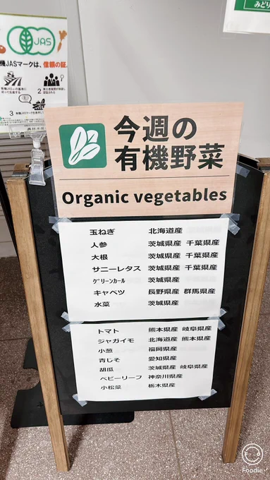 ふわタロ「やぬしにしては健康的なメニューだ」ふわトレ「ふふん、そうだろう。農林水産省の食堂が美味しいらしくてね。今日は普段から不摂生なやぬしを連れてきたんだ。」やぬし「焼魚なんて久しぶり…え、マジでめちゃくちゃ美味しいお魚だ…!うめぇぇぇ」#M78ふわふわが集まるタグ 