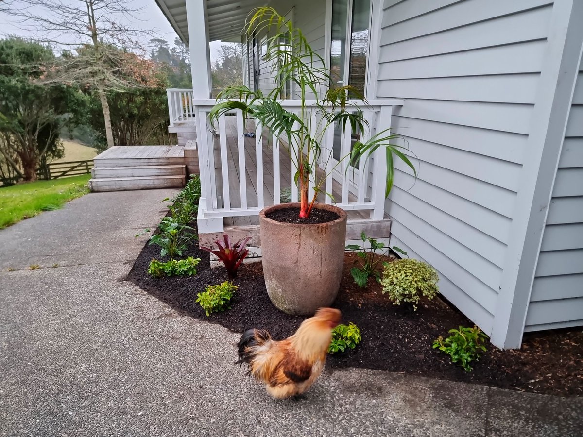 jayvanlent's tweet photo. Doing what we do best 👌 #GardenersWorld #garden #landscaping https://t.co/xc0XqU7HT9