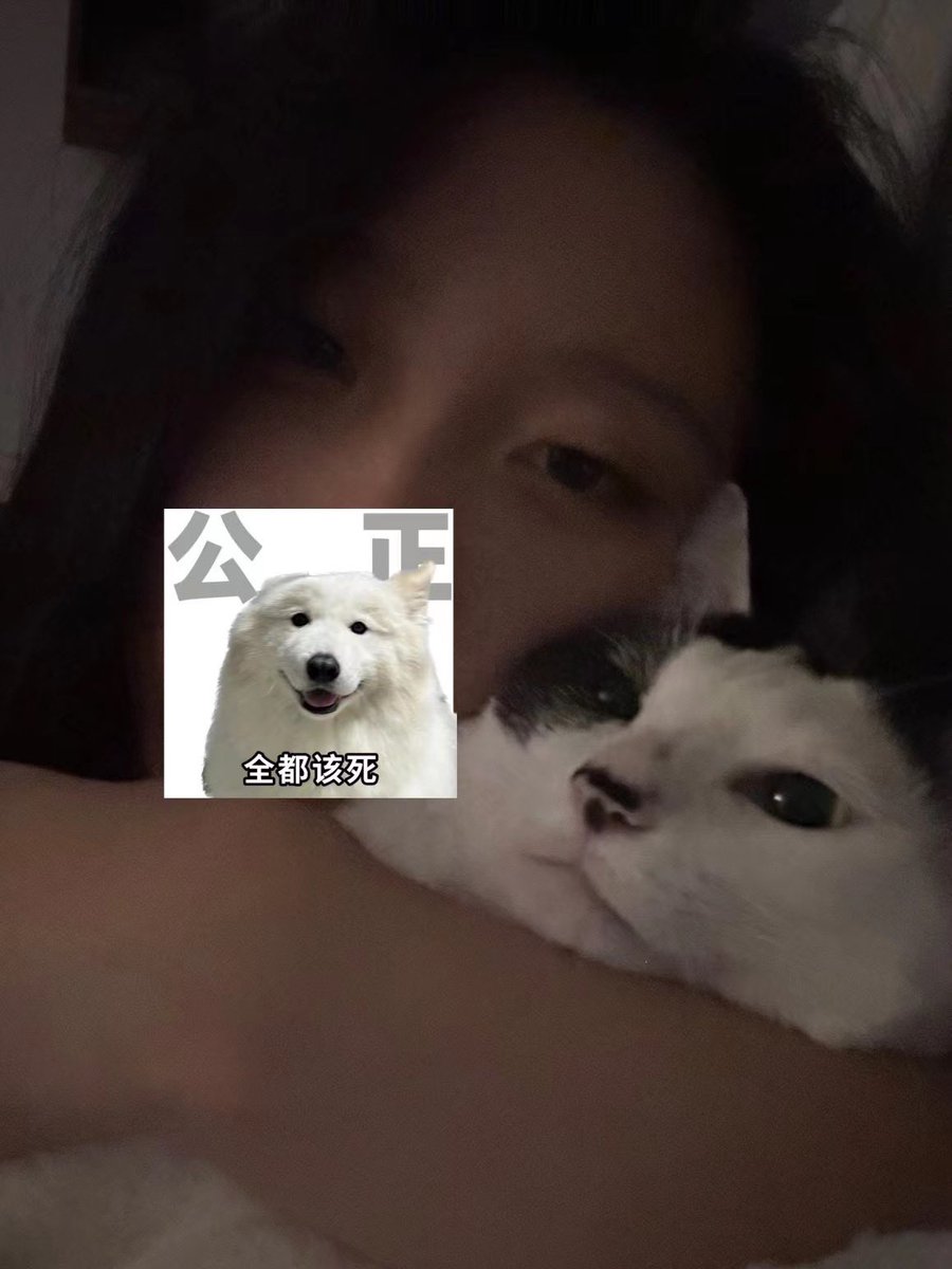 ldk1450466's tweet photo. 好好好二阳了好像第一个传染加勒比😅 https://t.co/qmJeWznXQr