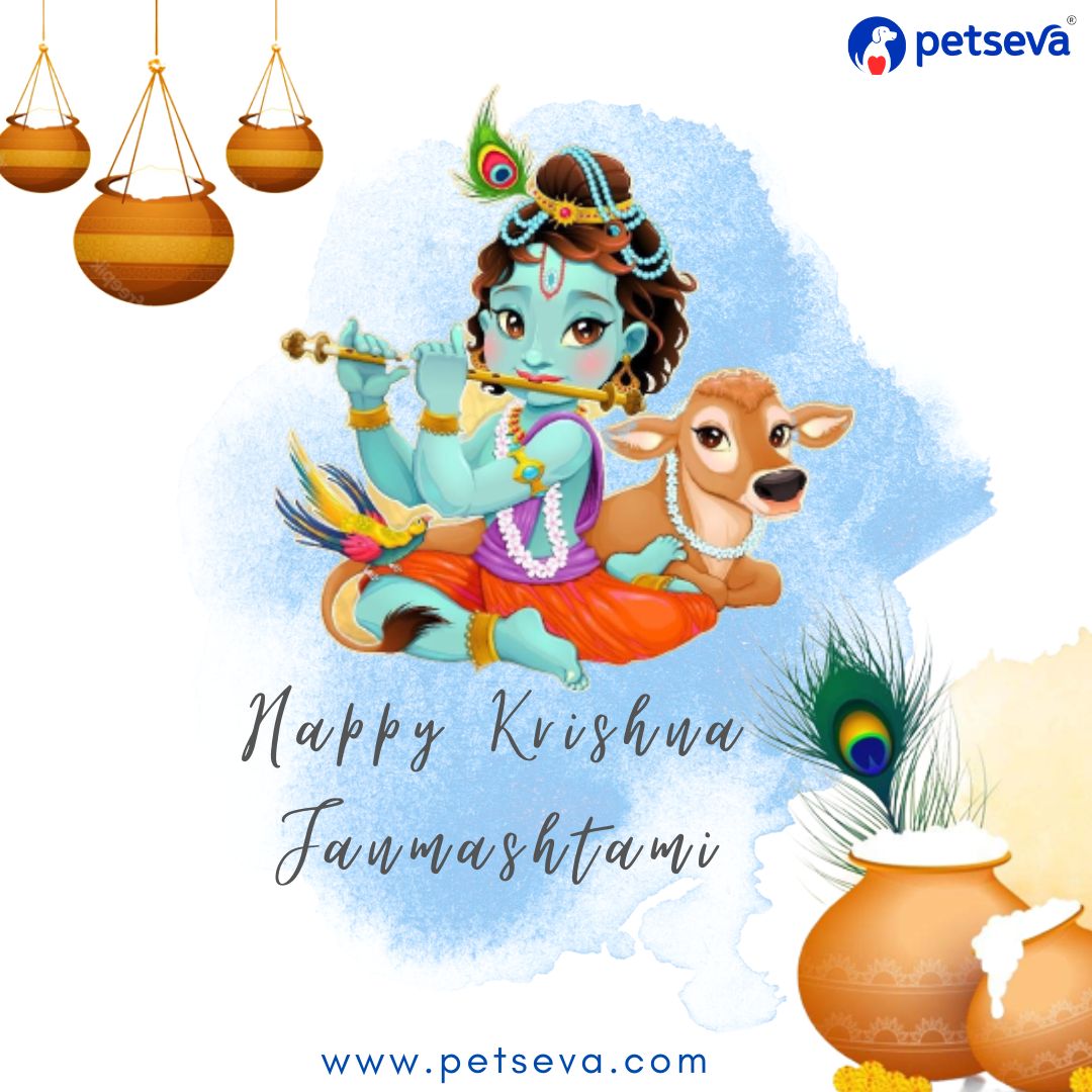 pet_seva's tweet photo. May this auspicious occasion of Shri Krishna Janmashtami bring a lot of positivity, peace, and harmony in your life. Petseva wishes all Happy Janmashtami!  #KrishnaJanmashtami https://t.co/W24Zu0NOzp
