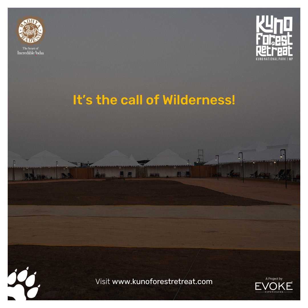 The call of the wilderness is undeniable. Will you heed its allure?

#KunoForestRetreat #wildernessreimagined
#KunoNationalPark #callofwilderness #wilderness #WildernessWonders #wildernessexperience  #mptourismindia #HeartofIncredibleIndia #kunonationalparkmp #staytuned