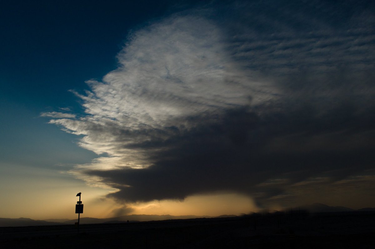 Daniel Sackheim / Highwire tweet media