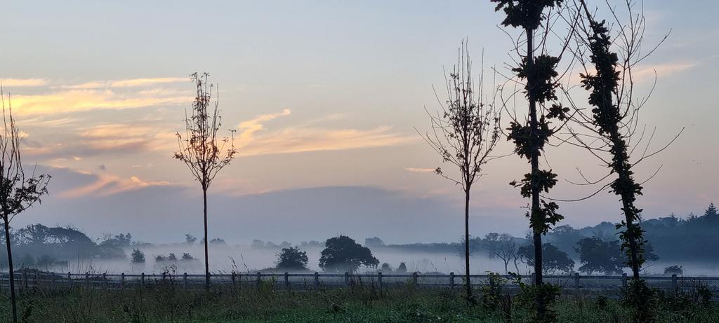 Autumnal morning mist #photography #Ireland @WeatherCee