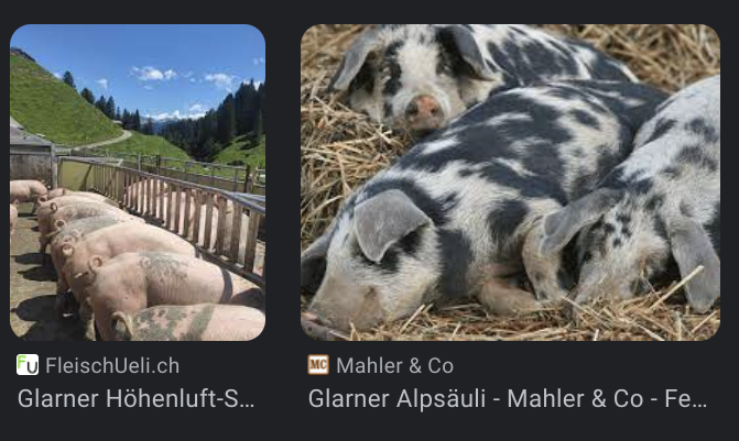 bonfaru's tweet photo. @MikeMuellerLate Man kann durchaus gute Glarner wählen, schau @MikeMuellerLate
Das Problem ist einfach, wenn diese im Aargau was  braunes raus scheissen.. https://t.co/httIUi2S6J