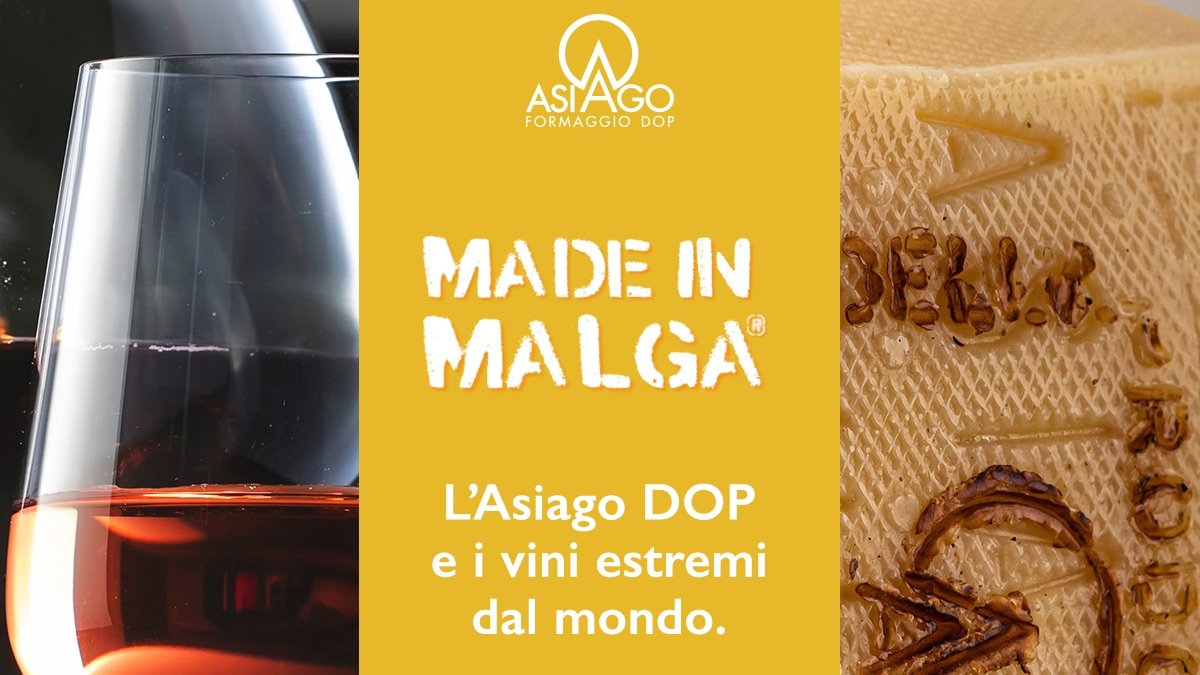 Asiago_cheese's tweet photo. Arriveranno  da tutto il mondo per incontrare il nostro #AsiagoDOP. Sono i vini estremi, protagonisti della Masterclass  “I sapori intensi dell’agricoltura eroica." Il viaggio di scoperta ti aspetta a #madeinmalga il #10settembre
Info: https://t.co/15PzZP1vnW
#síasiagodop https://t.co/eHEi93y8UU