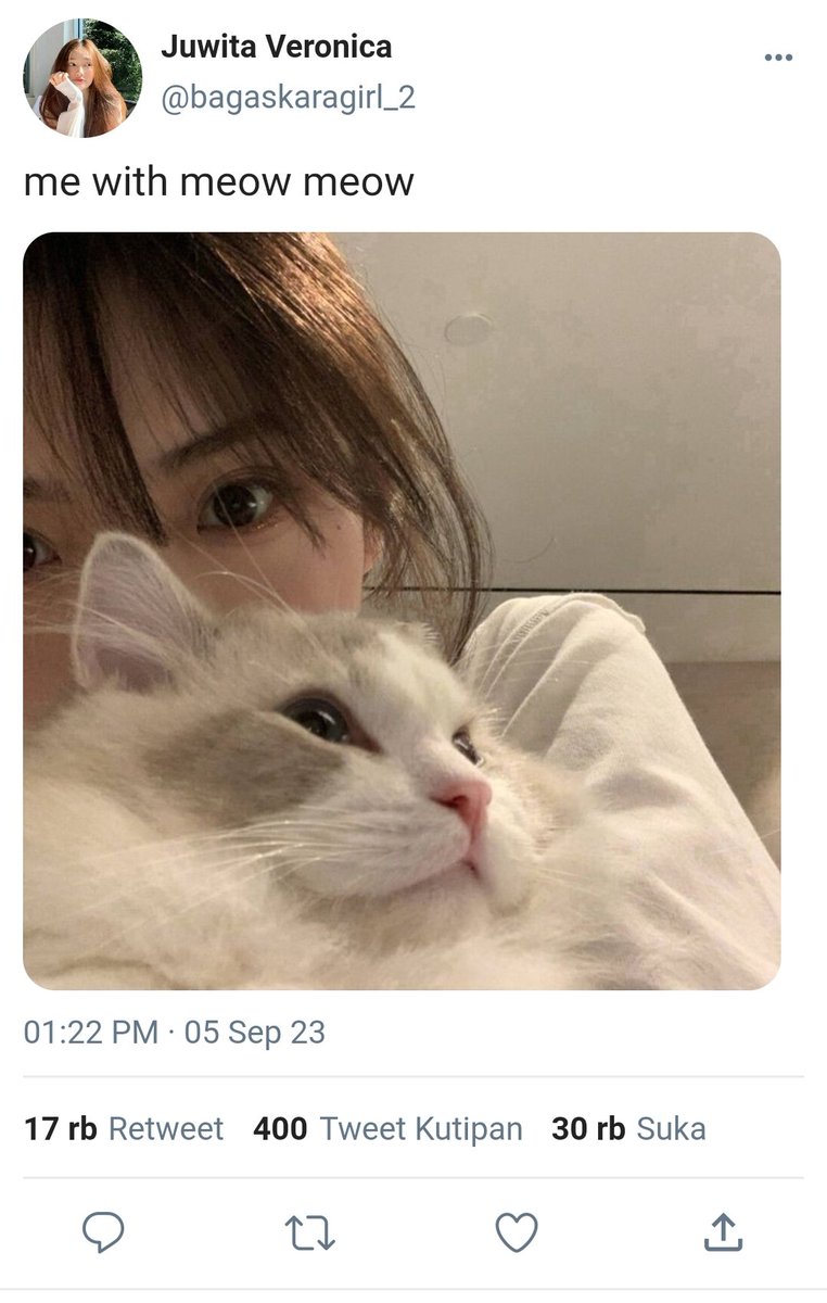 𝓑utterfly tweet media