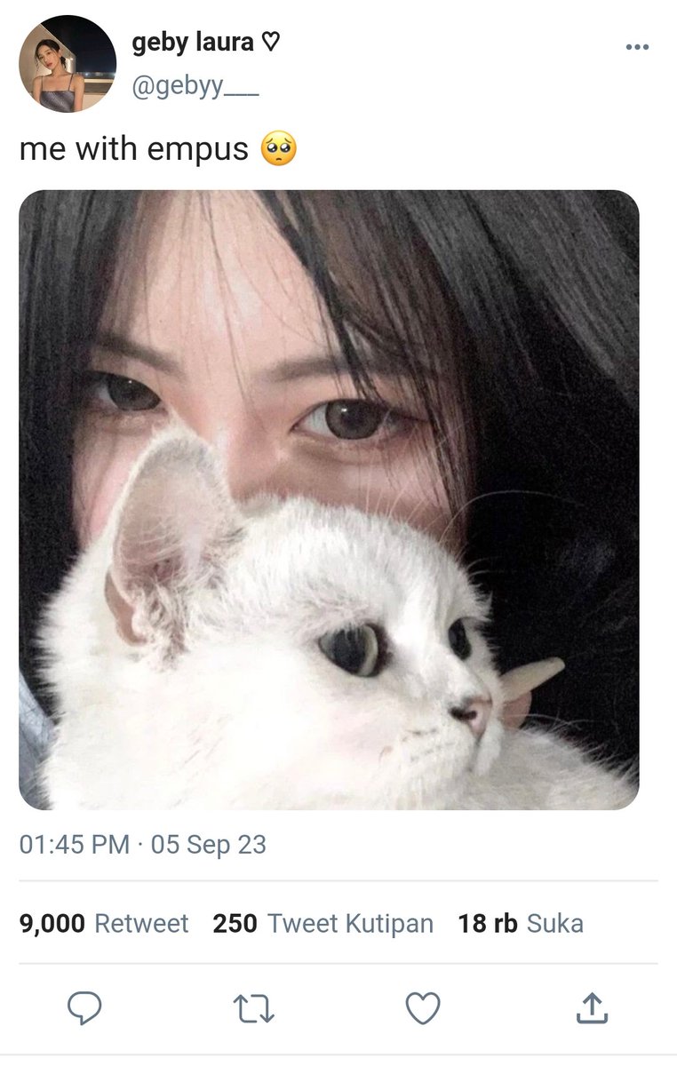 𝓑utterfly tweet media