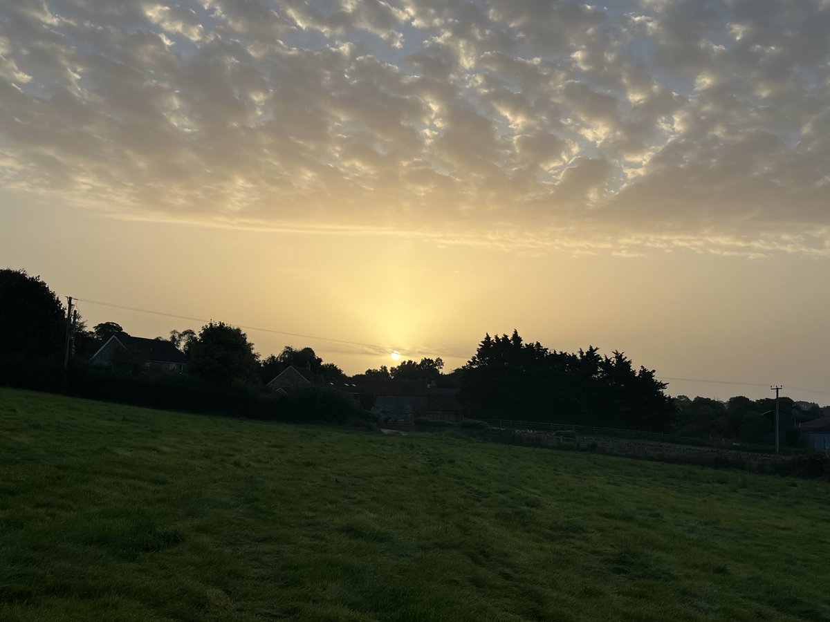 Another beautiful start to the day walking before starting work is excellent for mental health and well being.