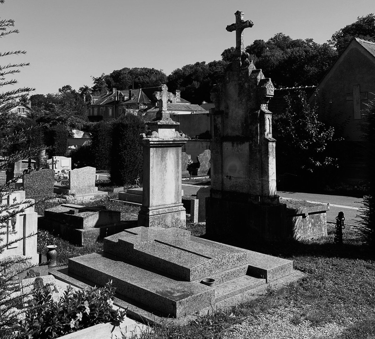 Morning’ from the Cemetery 🪦🦇 #wednesday #cemetery #thecemetarygirlz #gothic