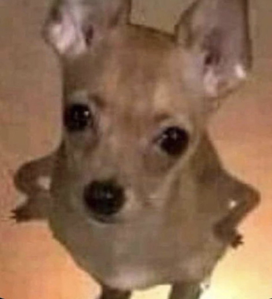 Dressmaker_AC's tweet image. #𝒰𝓈𝓈. Volví, cabrones 

Y con más ganas de cambiar la muse que nunca