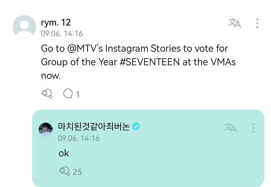 If Vernon's doing it, we Carats should do it, too. 😭