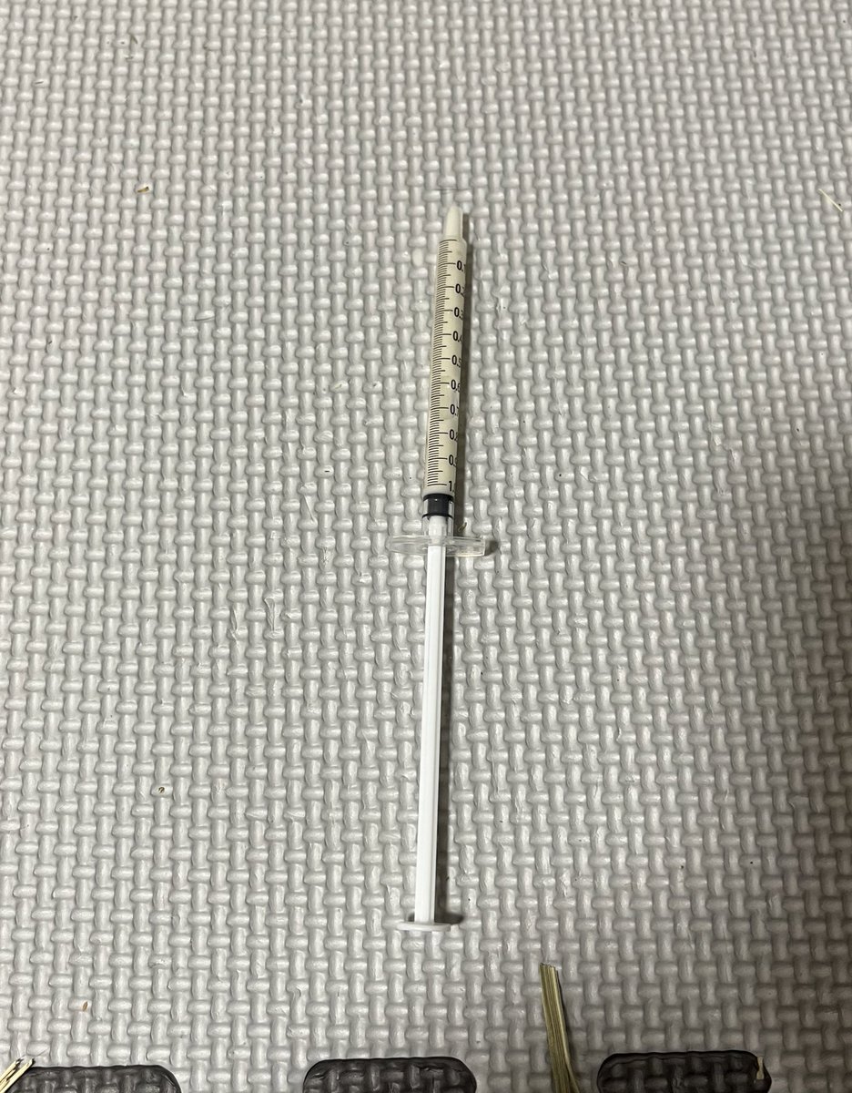 usausa_utan's tweet photo. お薬たった1cc、されど1cc！
最初0.1ccの間違いではないかと思った😅

動物病院では抱っこして口に入れると指導されたけど、時間もかかるし嫌がるしで諦めてペレットにかけちゃってます💦 https://t.co/qiKOSdn1Gq
