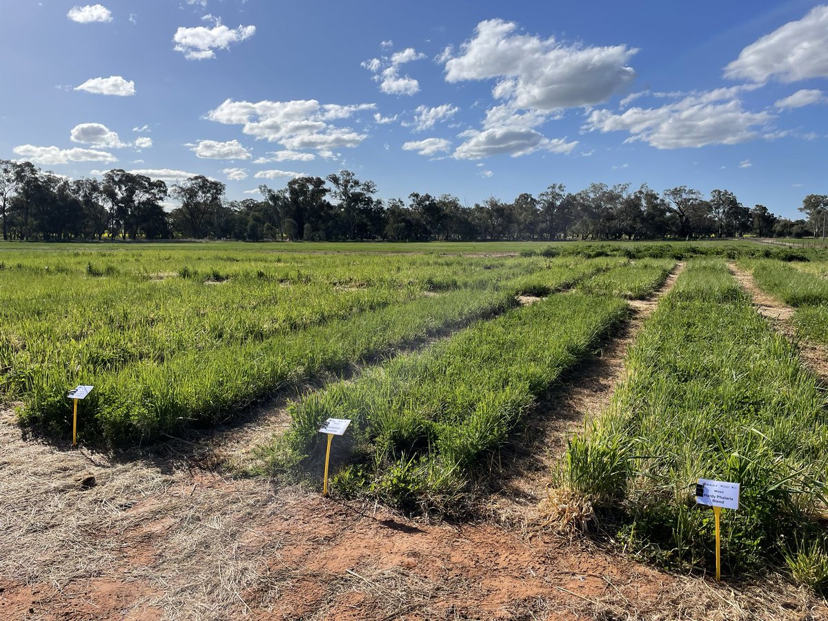 The signs are going up. The gear is arriving. All set for <a href="/Farm_Link/">FarmLink Research</a> Open Day. See you at 8:30am on Friday!