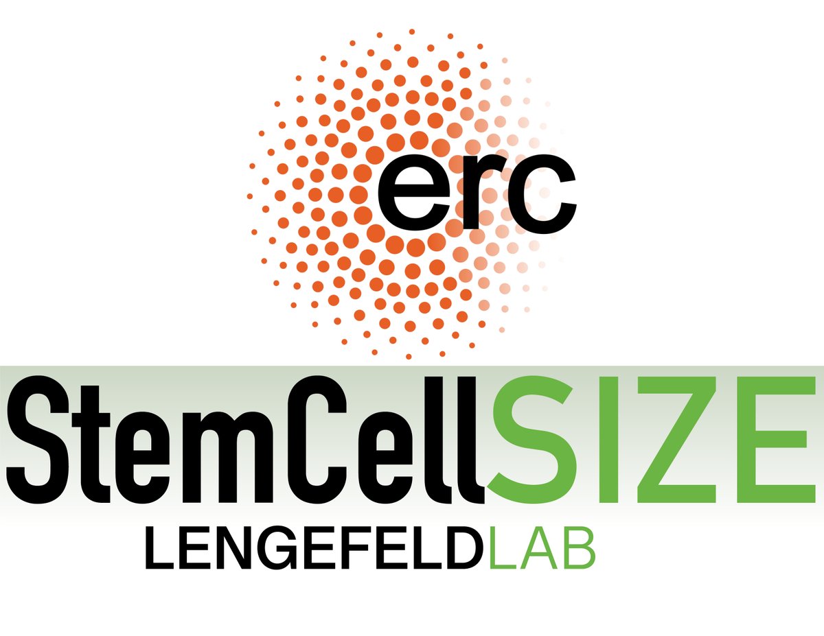 Jette Lengefeld tweet media