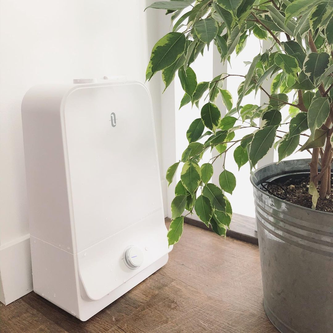 TaoTronics tweet media