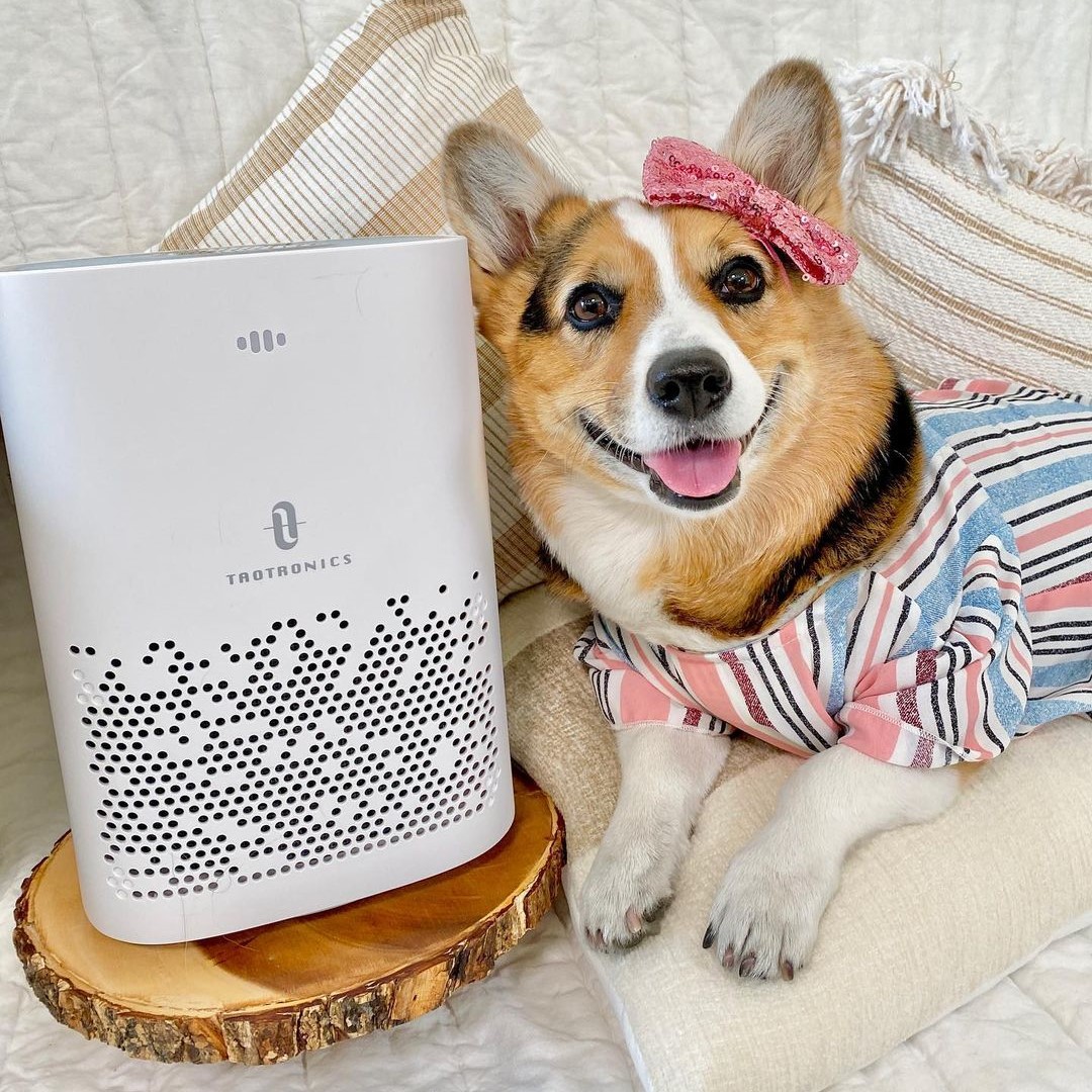 TaoTronics tweet media