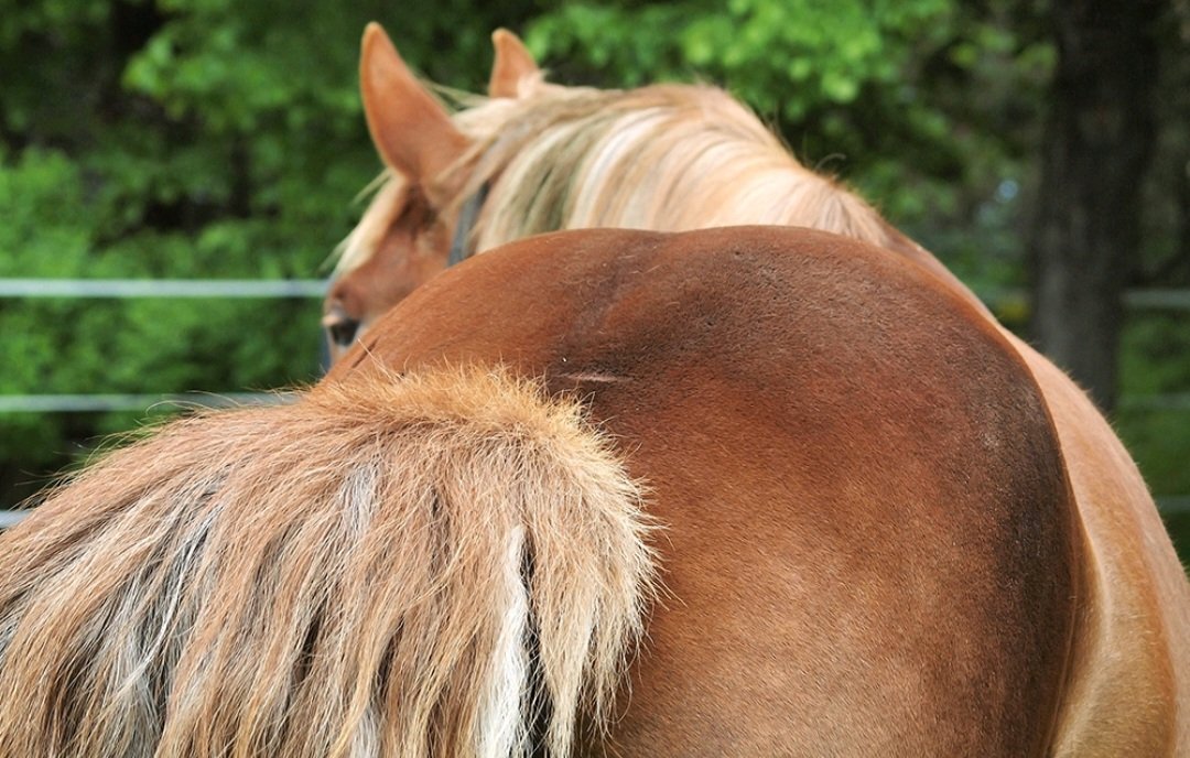 Sakari Alasuutari tweet media