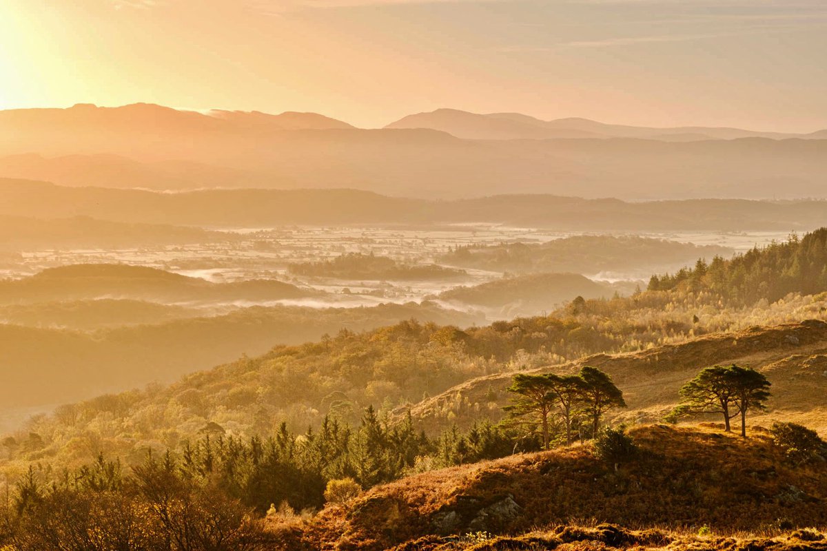 Dawn’s Glow

An early start last autumn was rewarded with some lovely light and atmosphere from the hills above Beddgelert. The trees almost look like sentinels standing watch over the valley below.