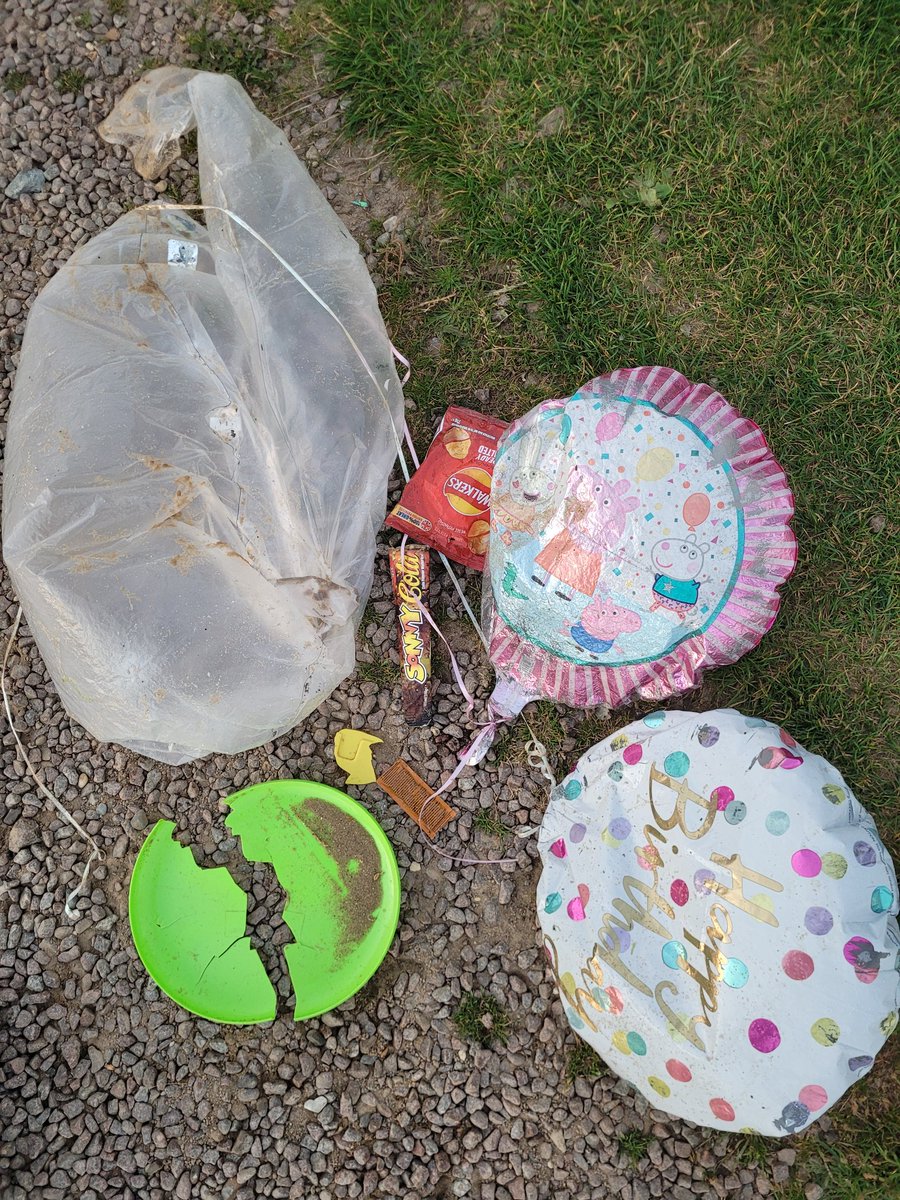 Stewart Damonsing tweet media