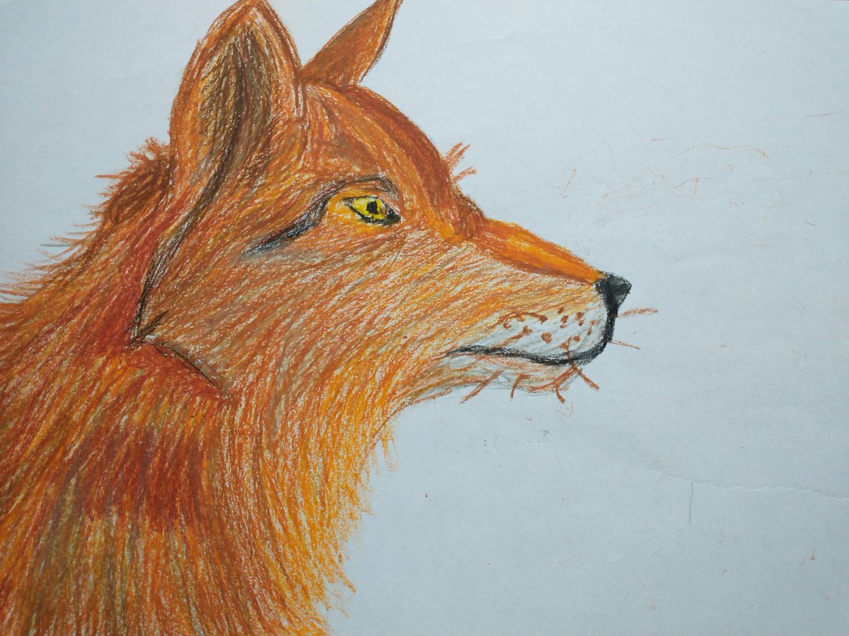 xFinnartsx's tweet image. Red wolf.

#wolf #reddishbrown #wolfart #traditionalart #traditional #zeichnen #zeichnung #traditionalartist #wolveswinter #animals  #animal #animaldrawing #oilpastels #pastelart #animalart