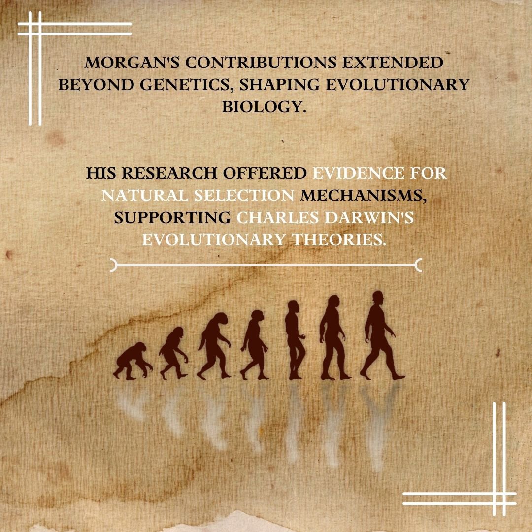 BioWissen's tweet photo. This month, Bio wissen celebrates the genius of Thomas Hunt Morgan. ✨
We pay tribute to a pioneer of world of genetics. Born on 25th sept best known for his work on humble fruit flies, Morgan's groundbreaking research forever changed our understanding of life's building blocks. https://t.co/X4Xhy2Nept