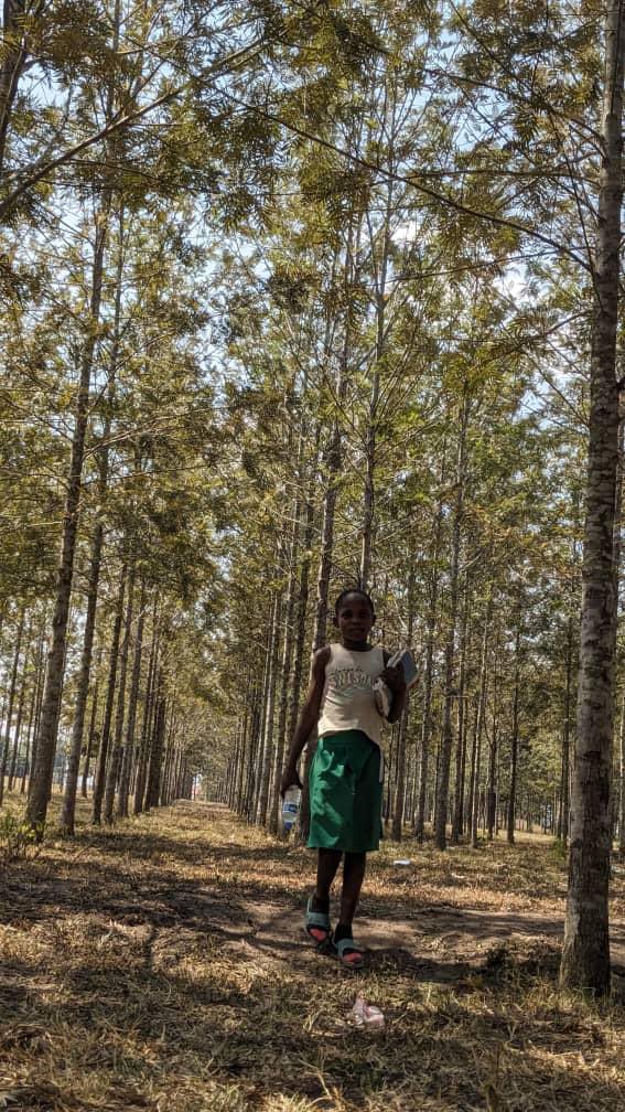 MindLeaps student Rachel is finishing up her school exams and taking a moment to walk through the forest in Oruchinga Refugee Settlement.

#beautiful #africa #schoolexams