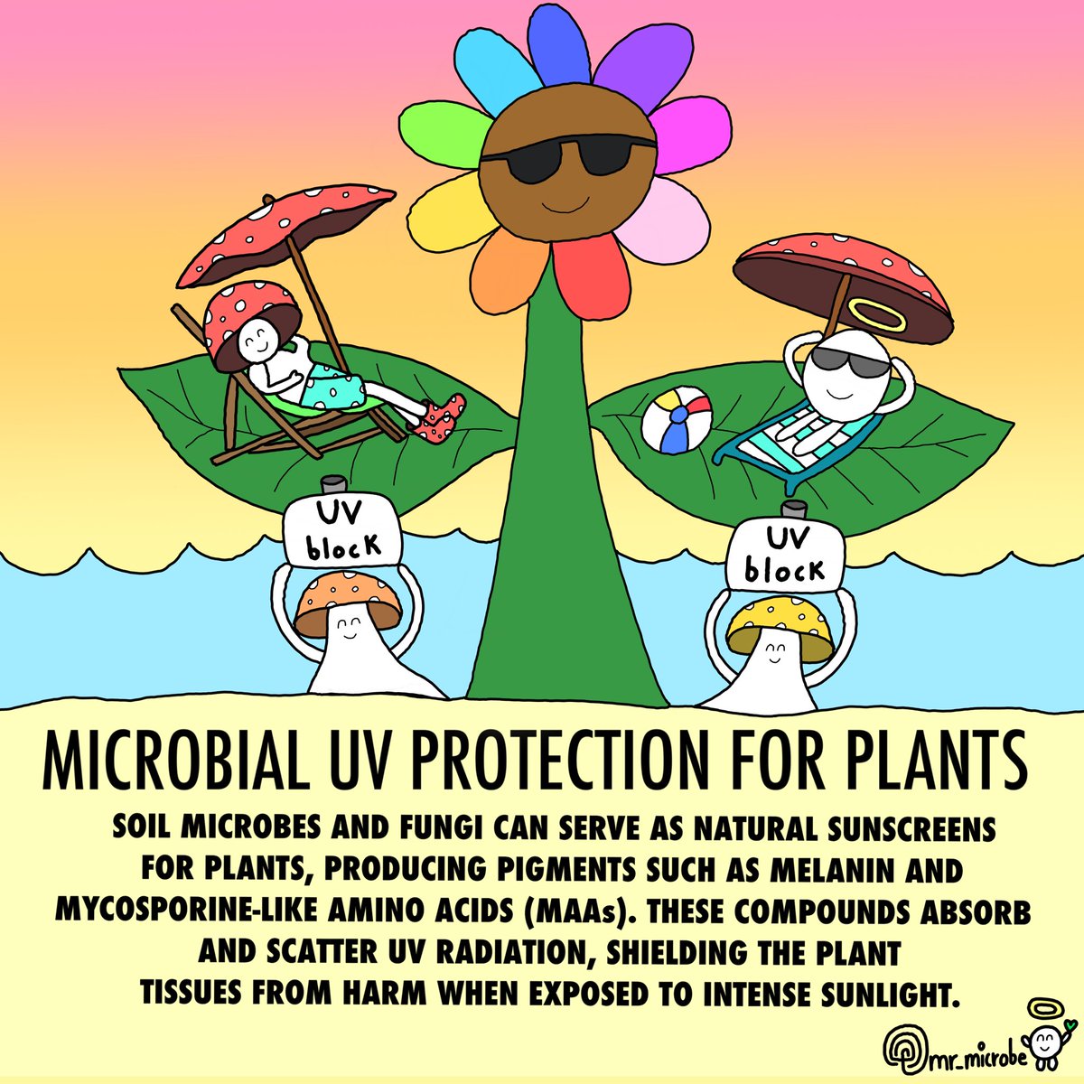 mrmicrobe44's tweet photo. Daily art challenge day #339, natural
microbial sunscreen for plants ☀️🕶🌊🌱
#microbes #fungi #naturalfarming #education #knf #learning #agriculture #soil #dailyart #artdaily #bioremedation #childrensbooks #kidsbooks #nft #nfts #nftatt #nftartist #nftprject #nftcommunity #art https://t.co/whs4K7XzQU