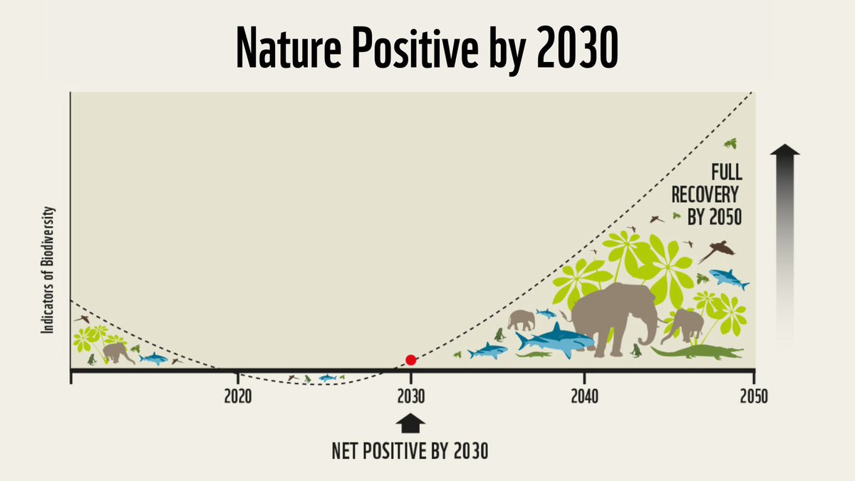 Nature Positive Initiative launches to promote the integrity and implementation of the Global Goal #ForNature.

➡️ naturepositive.org