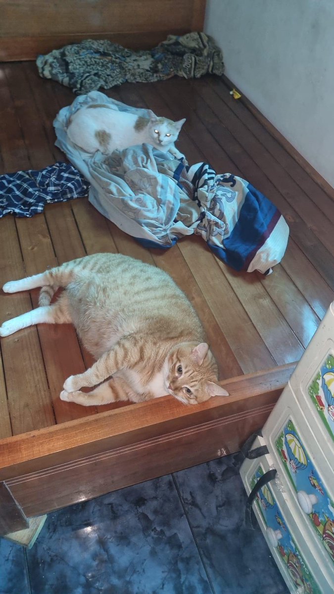 Take a rest now 😌