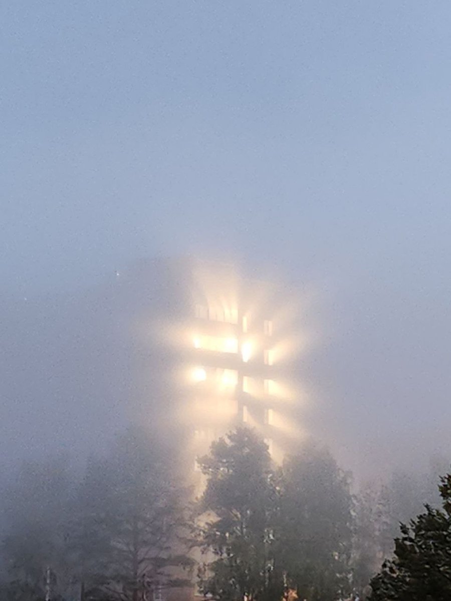 Утром Пермь накрыл необычно красивый туман: кадры из соцсетей