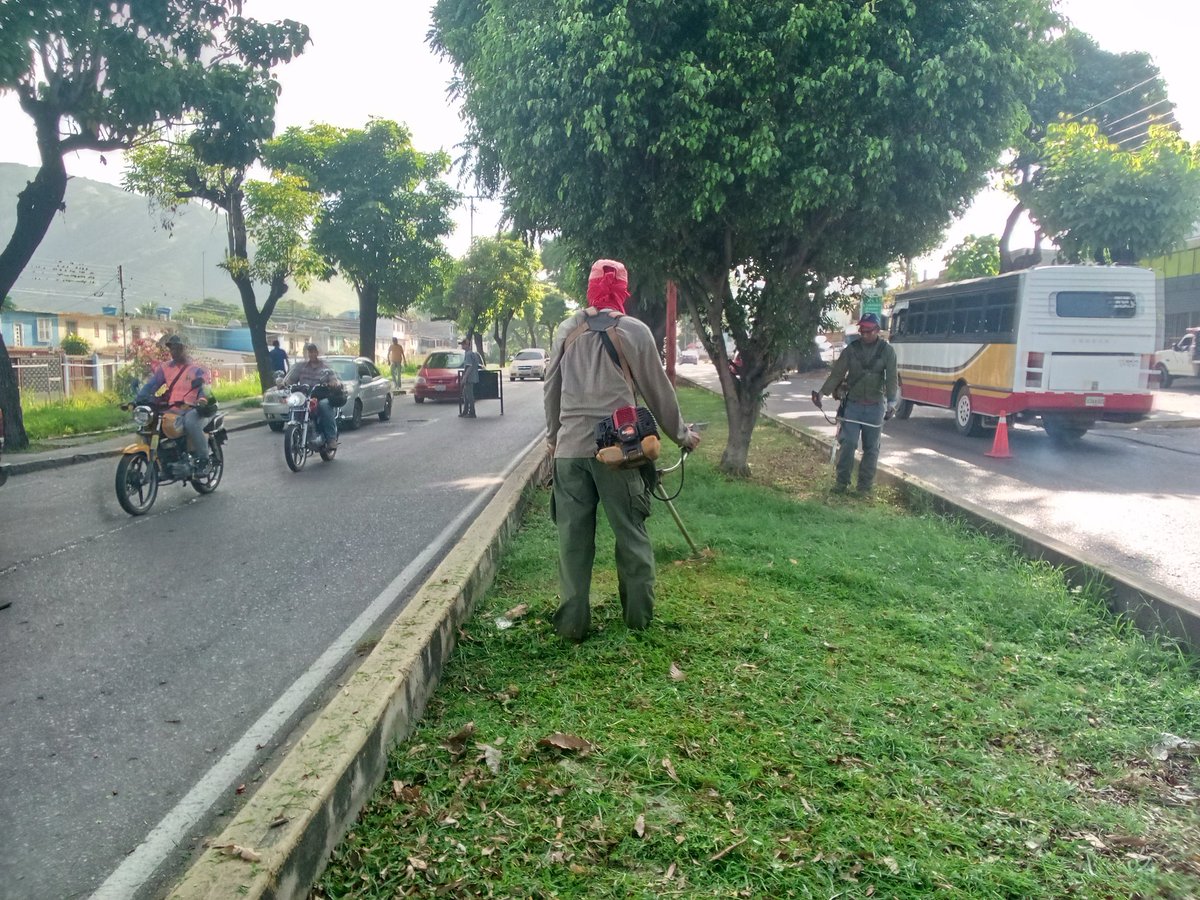 Instit12Febrero's tweet photo. #06Sep continúan labores de mantenimiento y desmalezado en la Av. Francisco de Miranda.
#RibasVuelveASonreir
#GobernamosParaServir https://t.co/qvp3N7UJy8