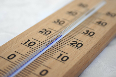 DierenLot's tweet photo. Nog een weekje genieten van heerlijk weer! Maar voor dieren is het snel te warm. Lees hier hoe je je huisdier kunt helpen: https://t.co/1nV2Vbv0I6
#hittetips #samenvoordieren https://t.co/2WxpL8lFhR