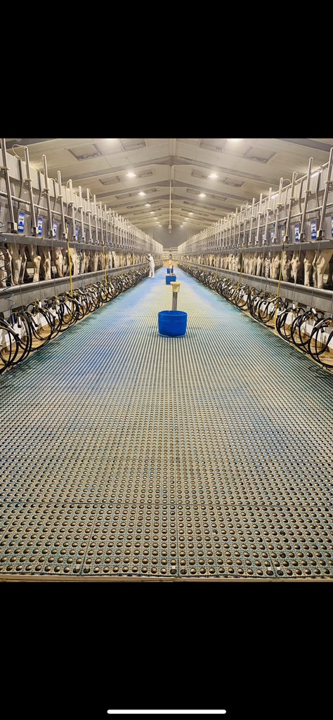 Eanna Linnane tweet media