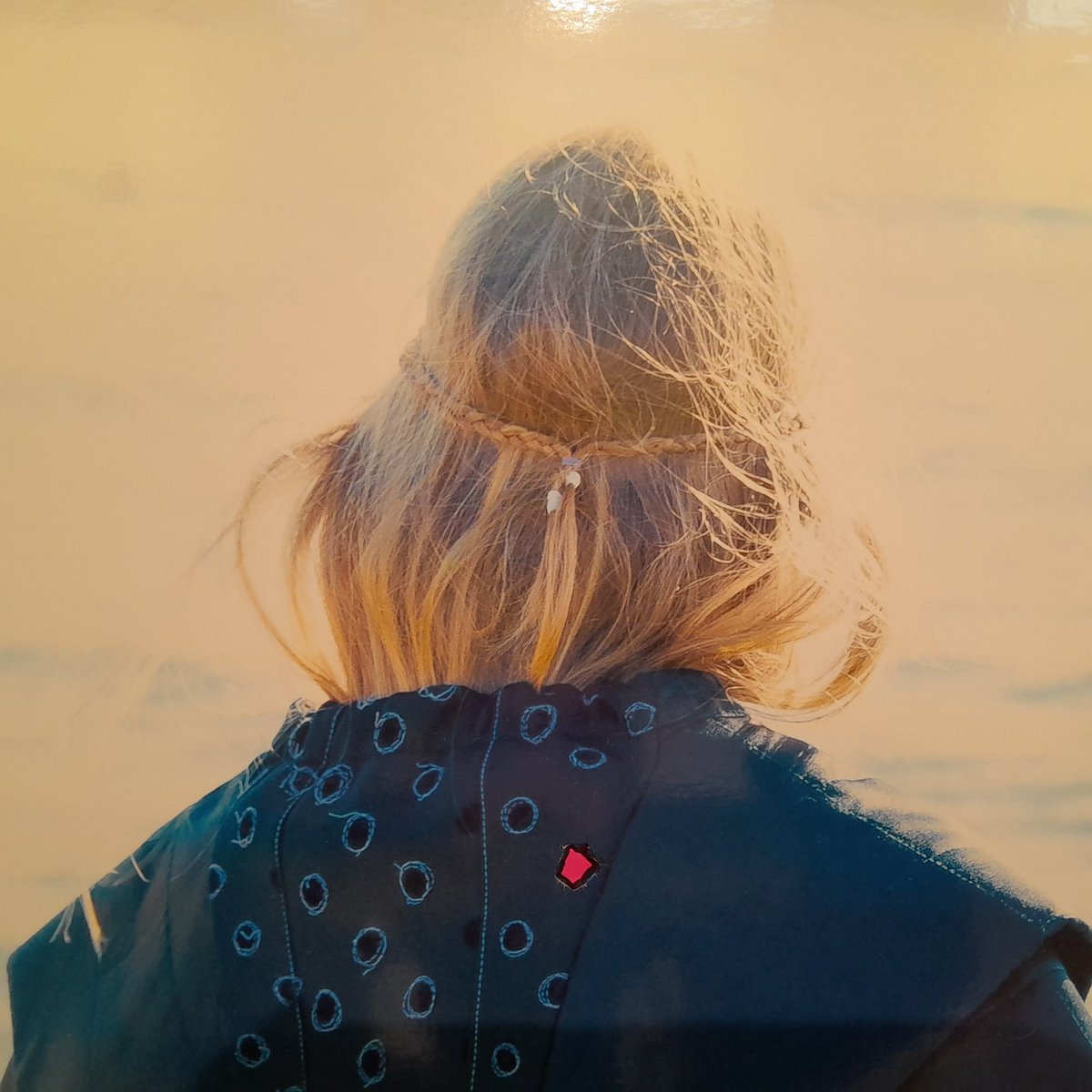 CCS_LSAD tweet media