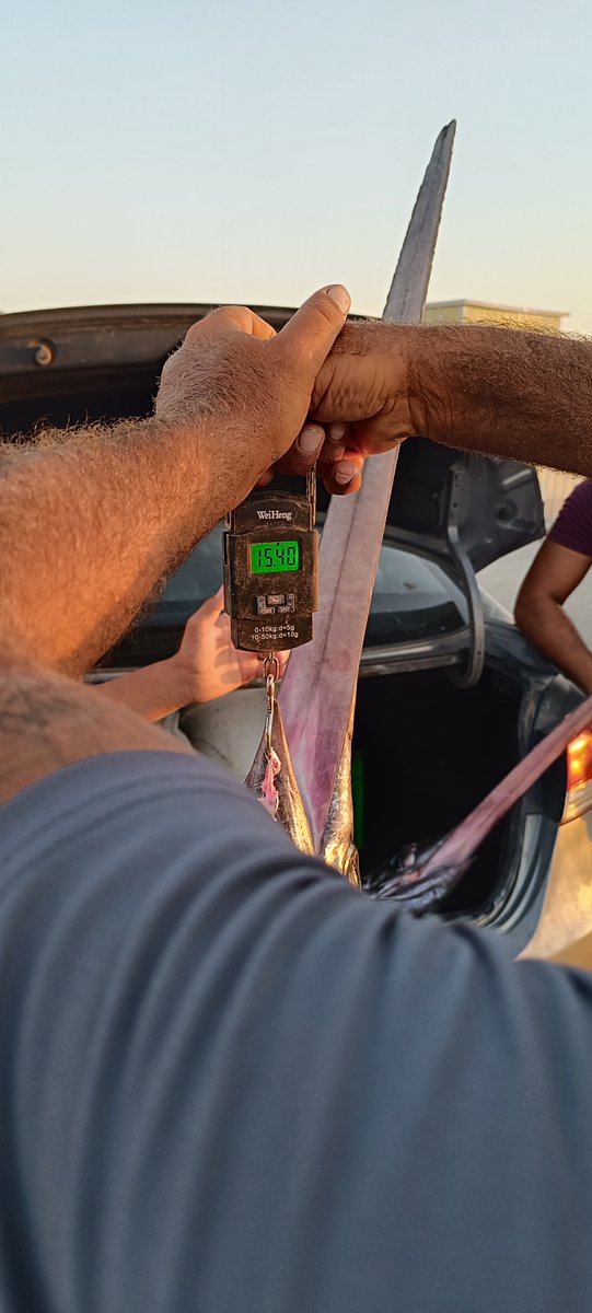 med4ebm's tweet photo. The Aqaba Fishing Association's data collection campaign is essential for the @med4ebm Project. It will greatly enhance the project's database, providing valuable insights and increasing its success. We appreciate the association's dedication to the project's goals and their work https://t.co/AER2do0vhC