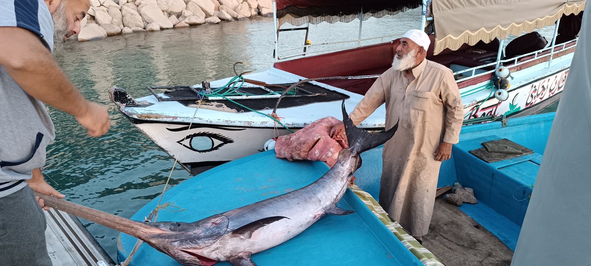 med4ebm's tweet photo. The Aqaba Fishing Association's data collection campaign is essential for the @med4ebm Project. It will greatly enhance the project's database, providing valuable insights and increasing its success. We appreciate the association's dedication to the project's goals and their work https://t.co/AER2do0vhC