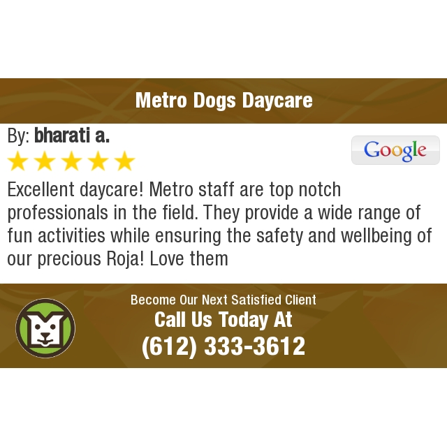 MetroDogsMN's tweet photo. 5 Star: bharati a. "Excellent daycare! Metro staff are top notch professionals in the..." https://t.co/NQp2NKBM3A https://t.co/g9Eed16j8w