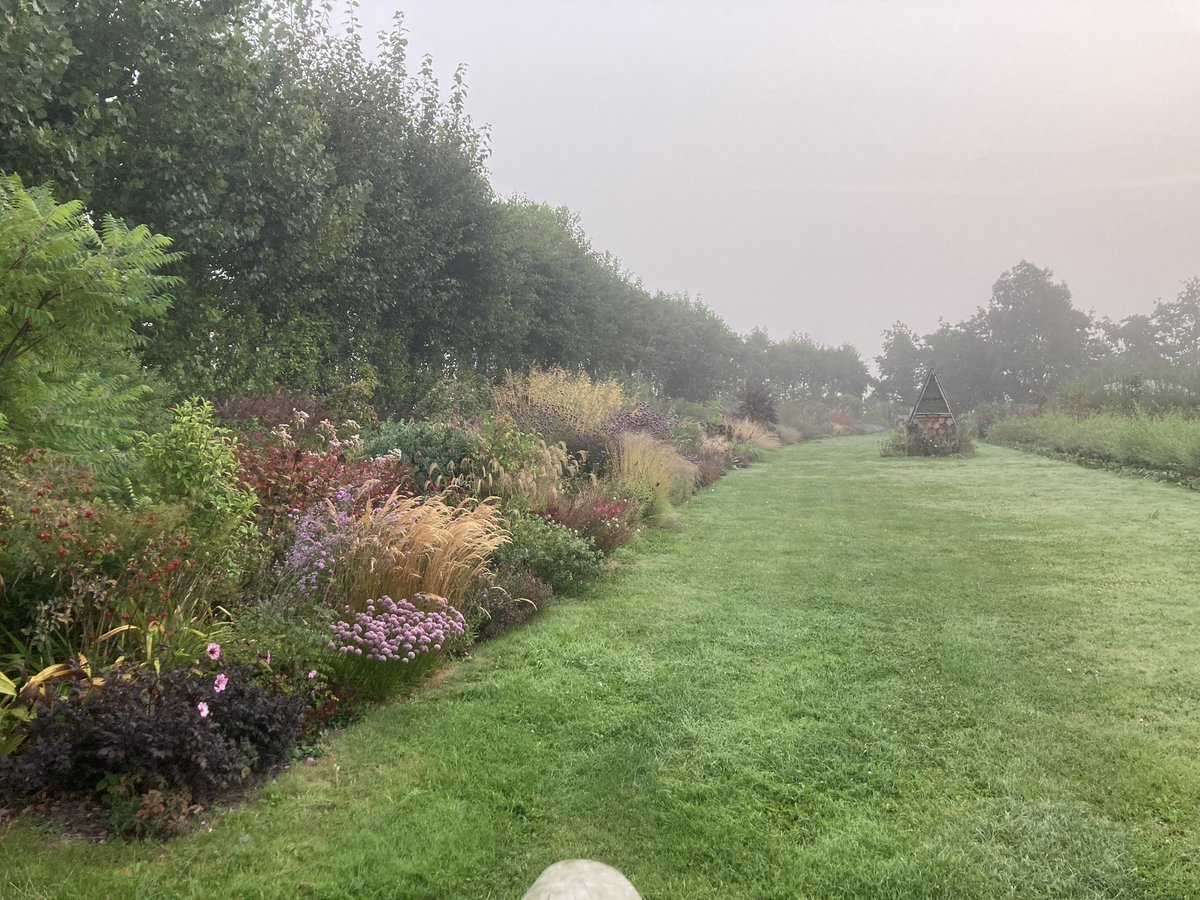 The long border in the mist early this morning. Planted for late summer flower and seed heads, we aim to only spend 6 days a year maintaining it.