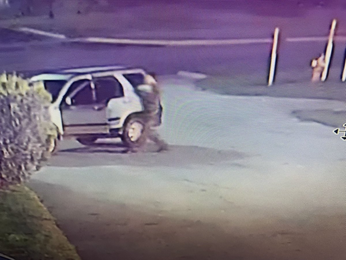 MSPEighthDist's tweet photo. The suspect involved in this incident is described as a white male wearing camouflage. He is driving this silver Honda CRV. He was last seen heading southbound on I-75 Business Loop. https://t.co/2knAuvzn9a