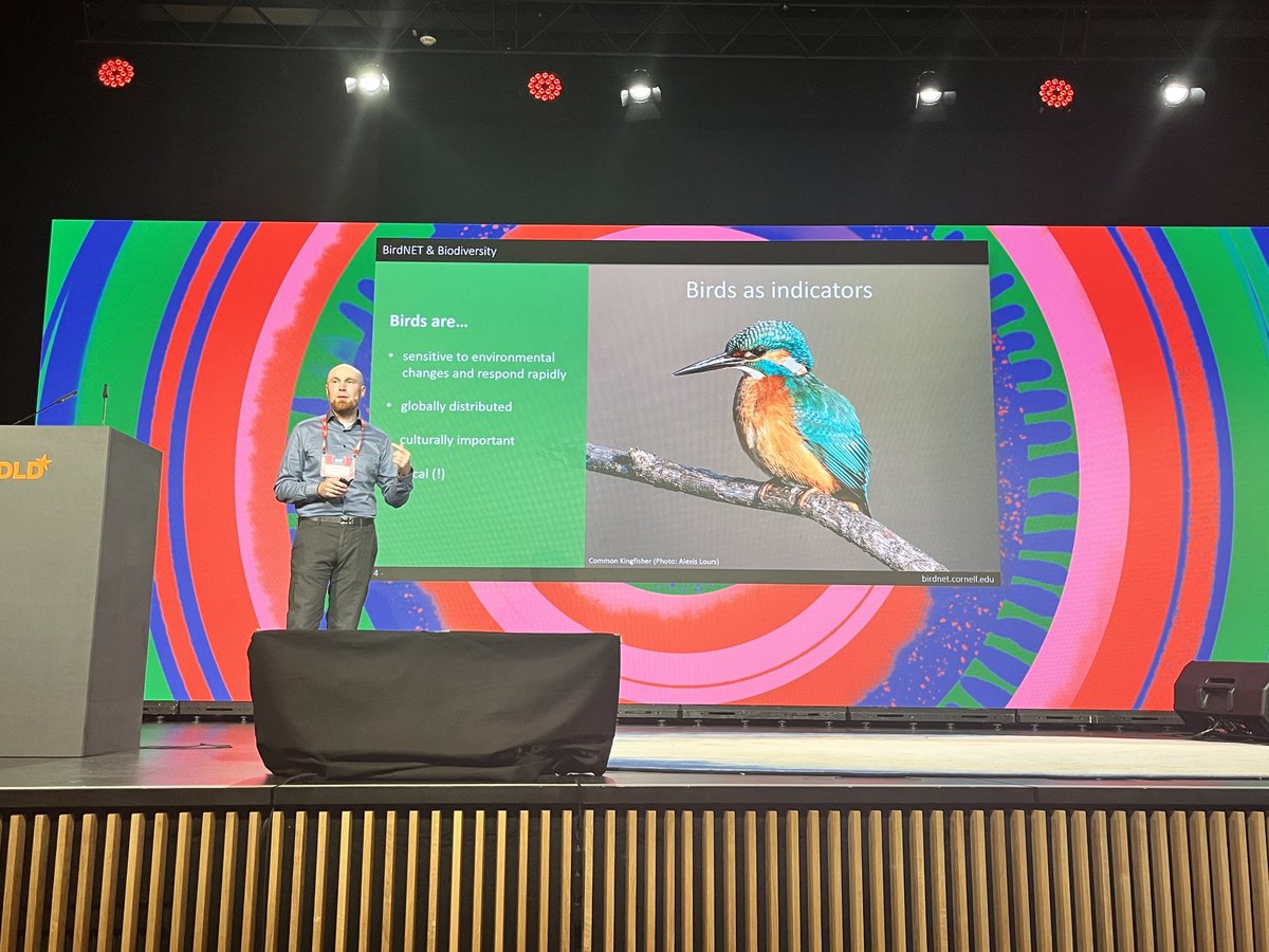 DLDConference's tweet photo. #Birds are very sensitive towards environmental change, that's why it's so vital to monitor their movements and behaviors. You can be part of the bioacoustics movement and use BirdNET to help collect data. @kahst #DLDCircular https://t.co/L2ctyf113f