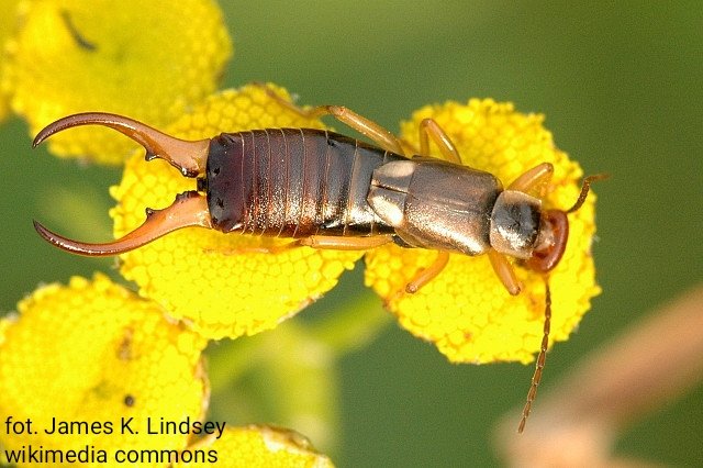 Dariusz Dziektarz tweet media