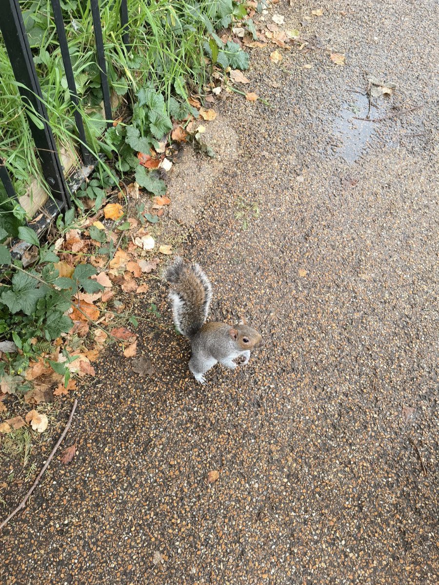 cc34211504's tweet photo. The beauty of nature is still here 😍😍 https://t.co/Mi4fwYY3vY