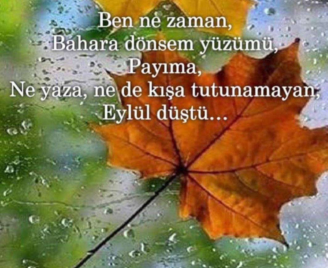 Sevda MUTLU (@76sevda76) on Twitter photo 