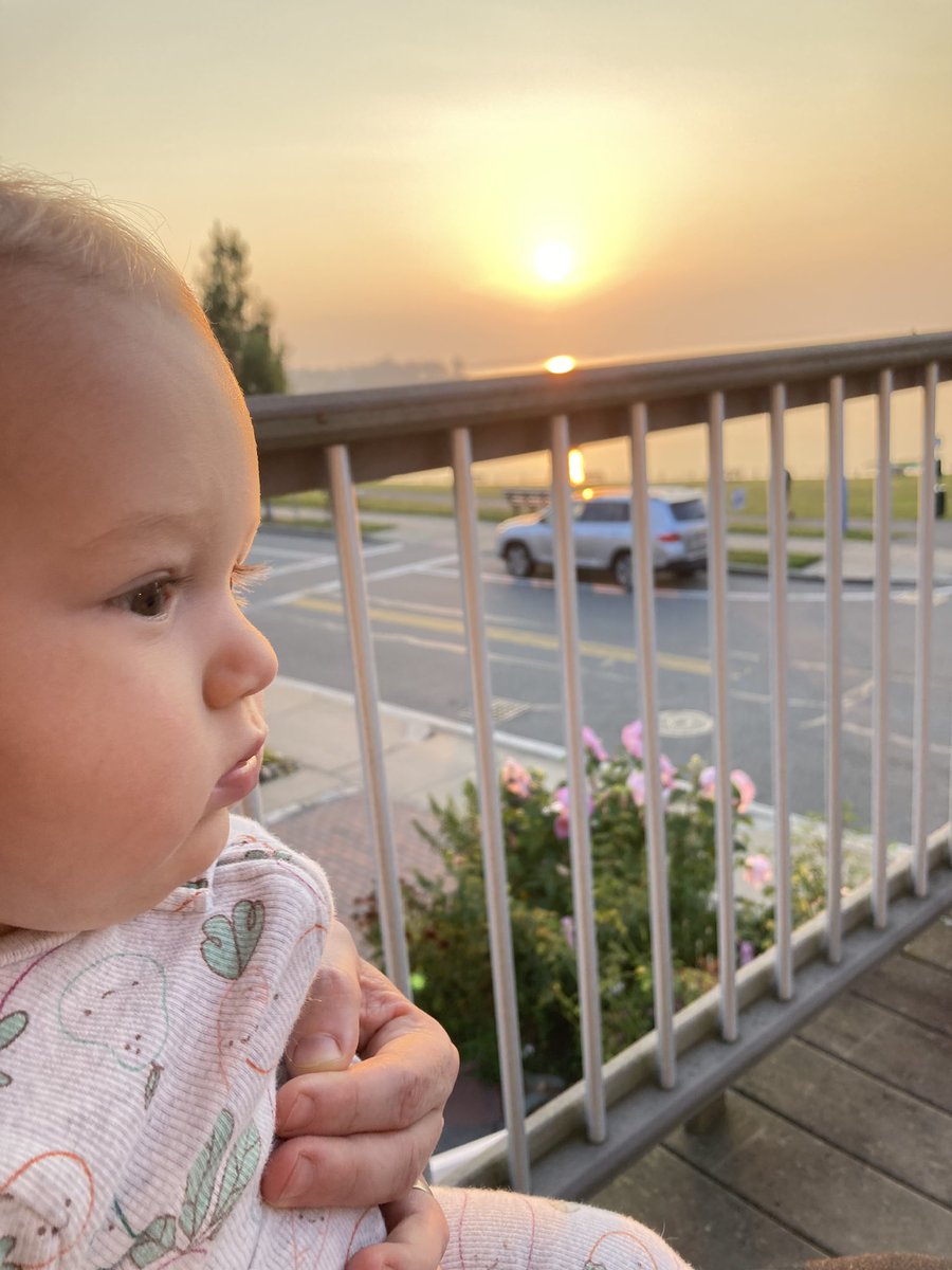 Ethan Saks tweet media