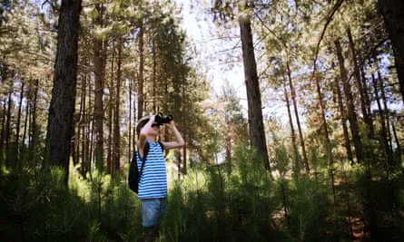 Guardian looking for young nature writers!
Children age 8-14 are invited to write an article of 200-250 words about spending time in nature - woods or beach, garden, farm or park.
Winners will be published in the Guardian. Closing date 2 October.
theguardian.com/environment/20…