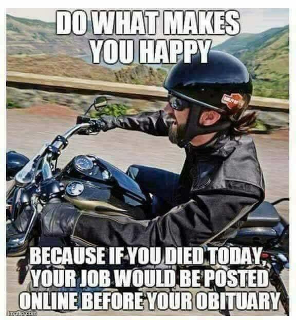 #motorcycles #harleydavidson