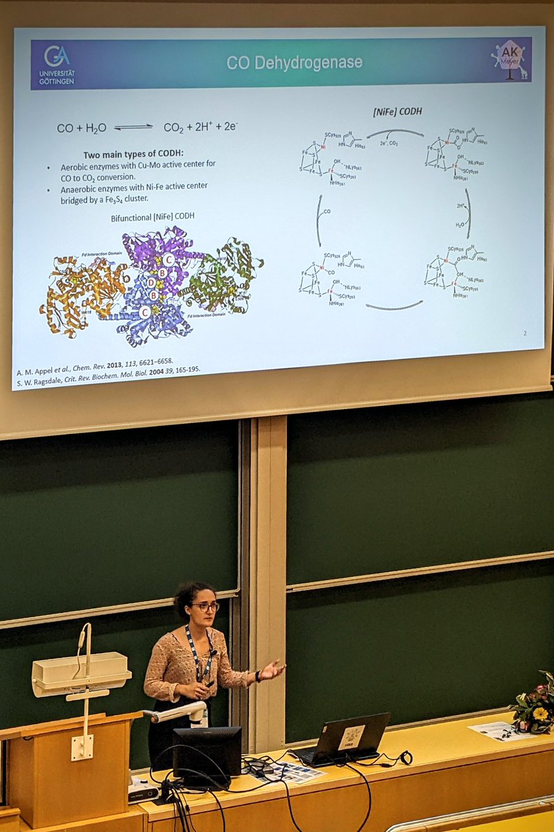 〈 Isaac | F. | Leach 〉 (@if_leach) on Twitter photo More great talks today in the bioinorganic chemistry session chaired by Guillem Aromí (<a href="/GMMF_UB/">GMMF</a>) <a href="/eicc6_vienna/">EICC6</a> a 🧵(1/3).
Sara Ida Mozzi from <a href="/AKMeyer_Goe/">AK Meyer Göttingen</a>'s group <a href="/uniGoettingen/">Uni Göttingen</a> on dinickel(II)-OH complexes for CO oxidation: More great talks today in the bioinorganic chemistry session chaired by Guillem Aromí (<a href="/GMMF_UB/">GMMF</a>) <a href="/eicc6_vienna/">EICC6</a> a 🧵(1/3).
Sara Ida Mozzi from <a href="/AKMeyer_Goe/">AK Meyer Göttingen</a>'s group <a href="/uniGoettingen/">Uni Göttingen</a> on dinickel(II)-OH complexes for CO oxidation: