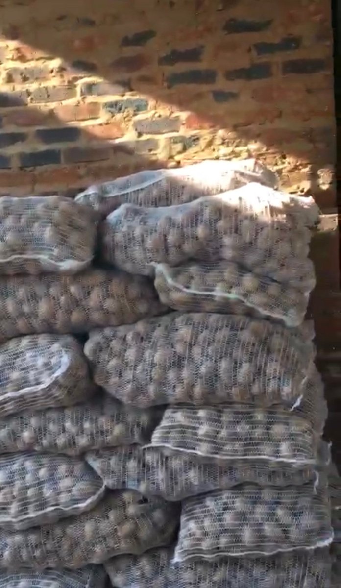 MatsaunyaneBame's tweet photo. In other news elsewhere in Bokone Bophirima:
Potato seeds are being delivered to mark the start the second phase of massification of potato production in the province
Watch the space for extensive updates
#HaOSaTlaleWaDutla #SmallholderFarmerDevelopment #PotatoFarmerChronicles https://t.co/DBvIvxdYUO