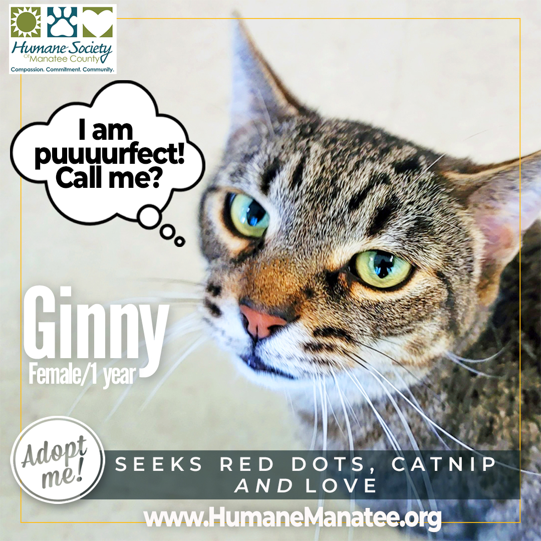 Humane Soc. Manatee tweet media